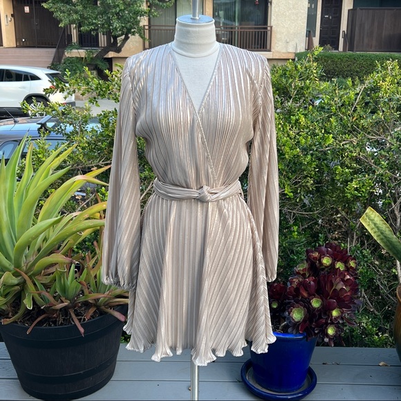 BARDOT Pleated Dress Champagne Color Ballon Sleeves Belted Size 4 - Picture 8 of 8